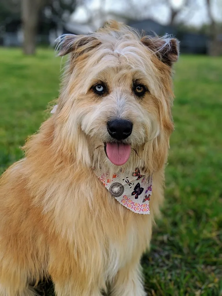 Affordable drain cleaning for homes in Pflugerville, TX by O & M Plumbing Services