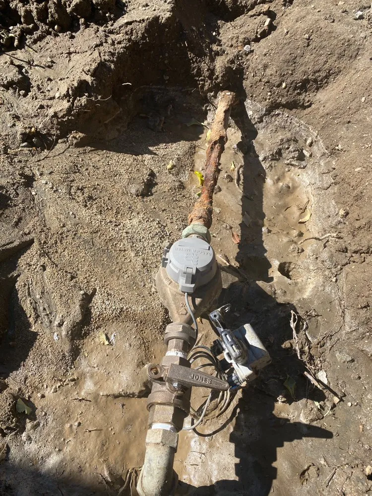 Slide of O P Services