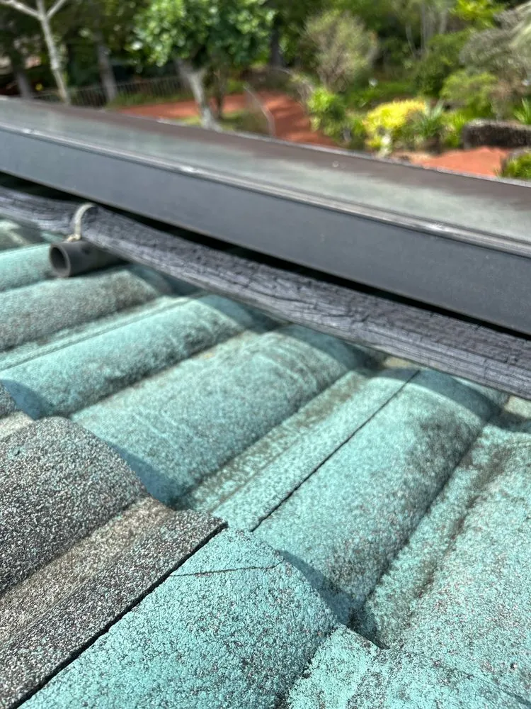 Affordable leak detection for homes in Urban Honolulu, HI by Oahu Pro's