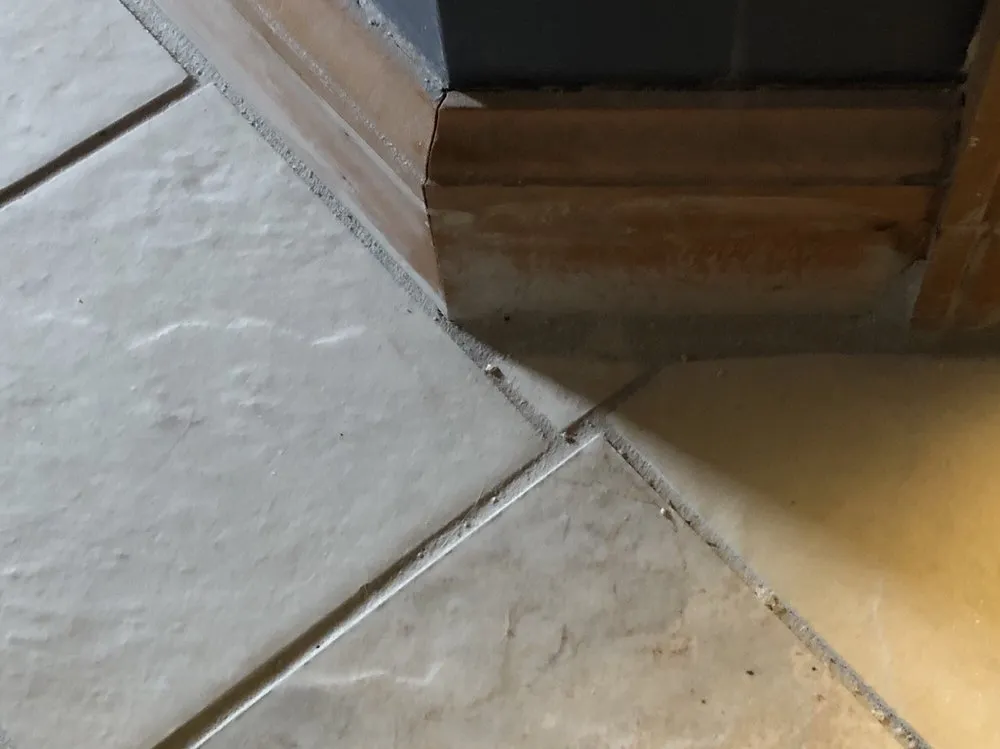 Top-rated leak detection service in Chesapeake, VA - Oak Grove Remodeling & Repair