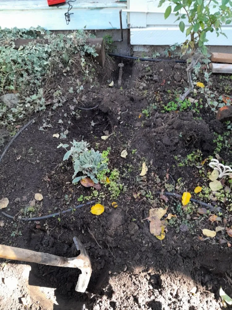 Slide of Oakland Drain Cleaning & plumbing