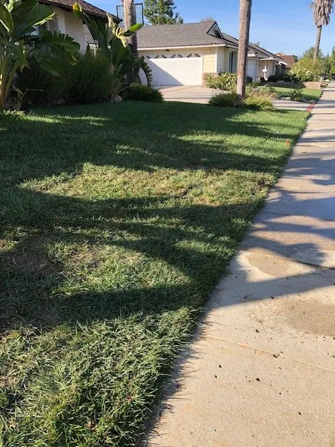Emergency pipe repair for homes in Newbury Park, CA by Oaks Drain Service