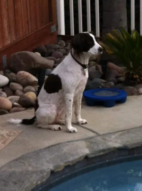 Slide of Oasis Plumbing & Drain Service