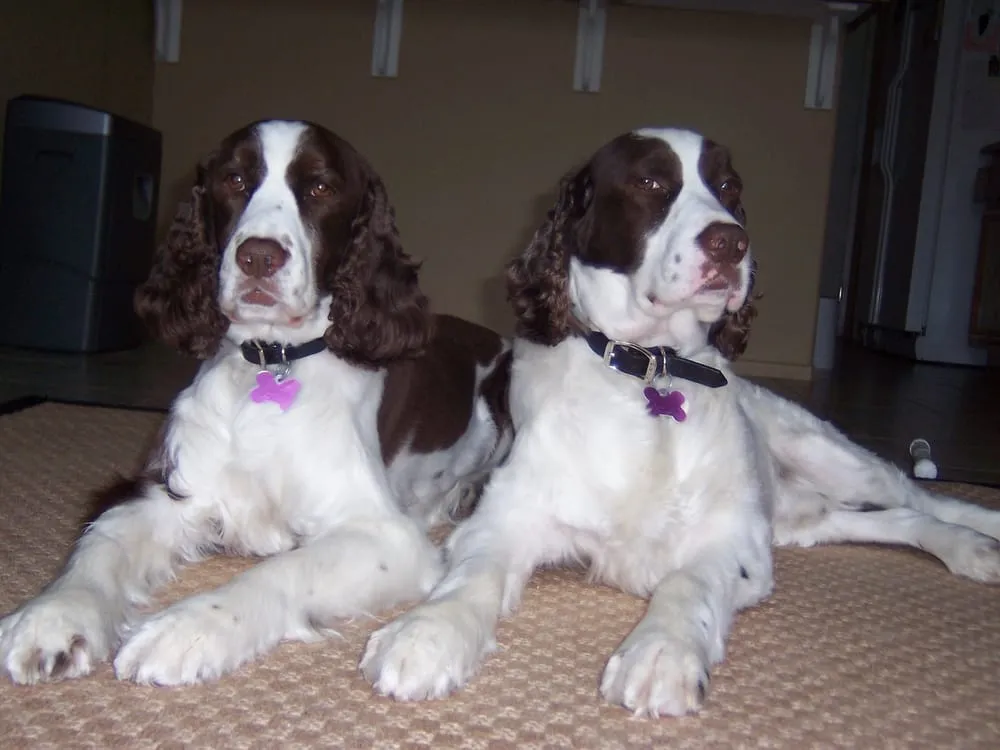 Slide of Oasis Plumbing & Drain Service