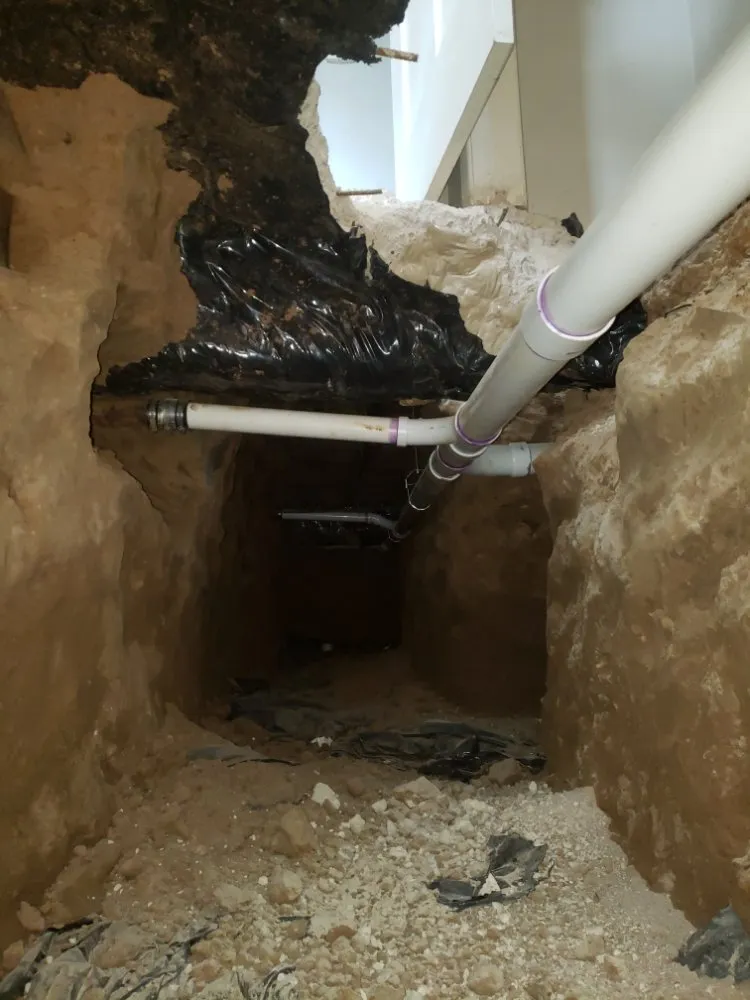 Reliable leak detection service in Watauga, TX - Oasis Plumbing of Texas