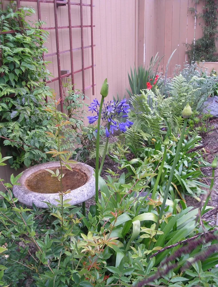 Slide of OBD Plumbing