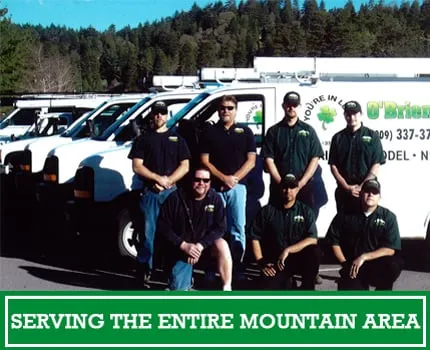 Slide of O'Brien Plumbing