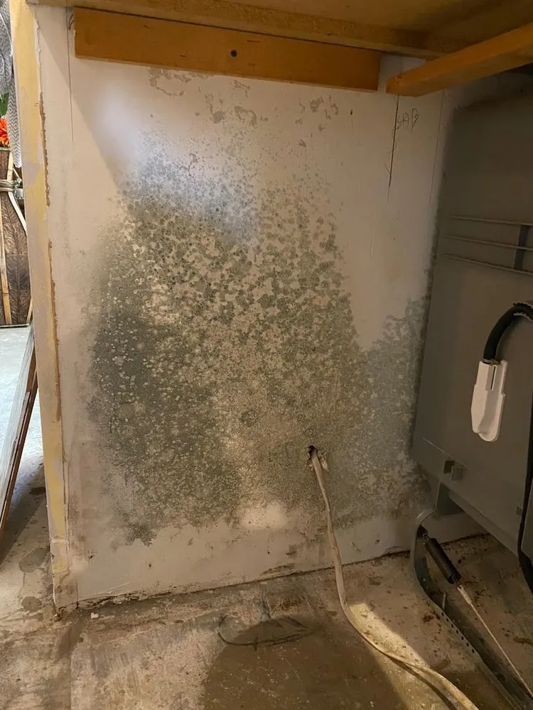 Slide of OC Leak Detection & Water Damage Remediation