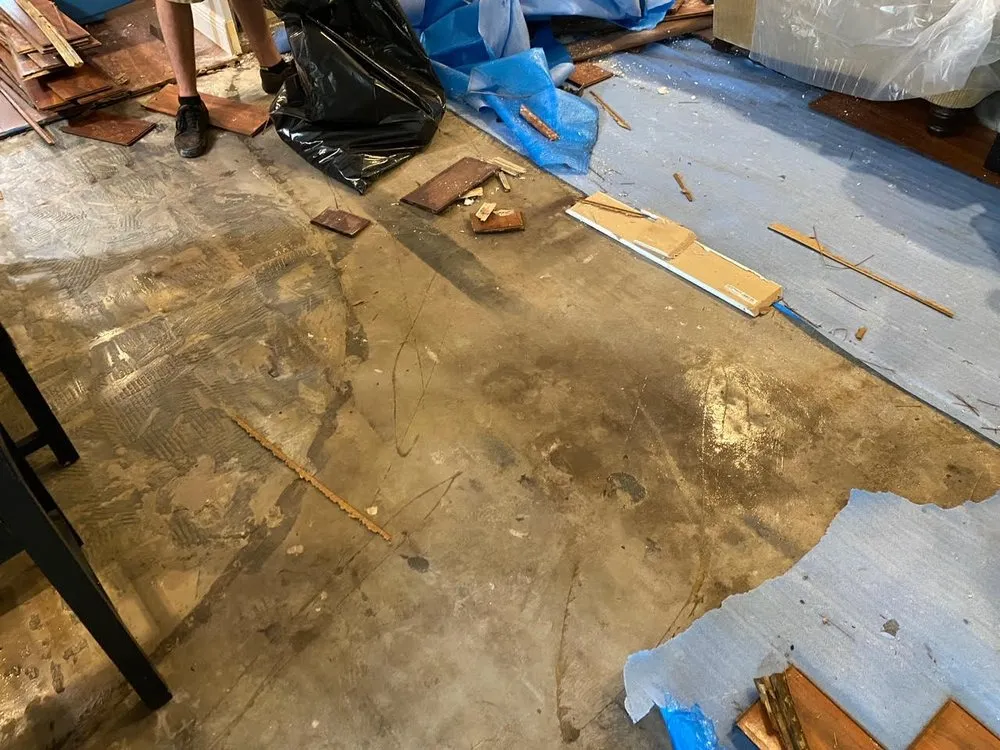 Emergency pipe repair experts serving Boca Raton, FL - OC Leak Detection & Water Damage Remediation