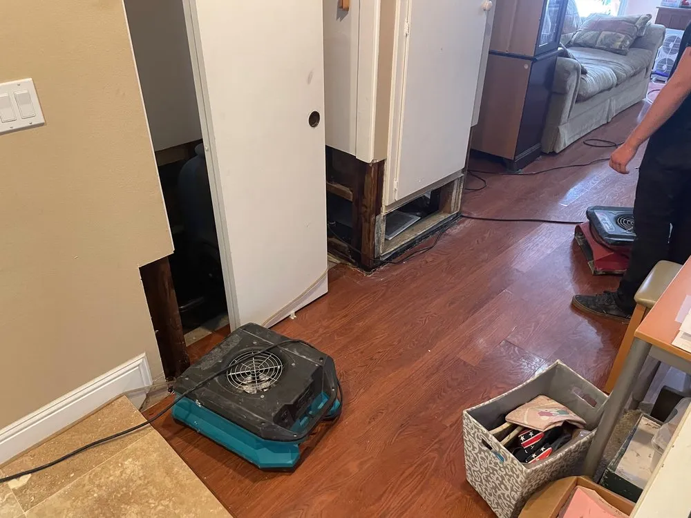 Professional pipe repair experts serving Boca Raton, FL - OC Leak Detection & Water Damage Remediation