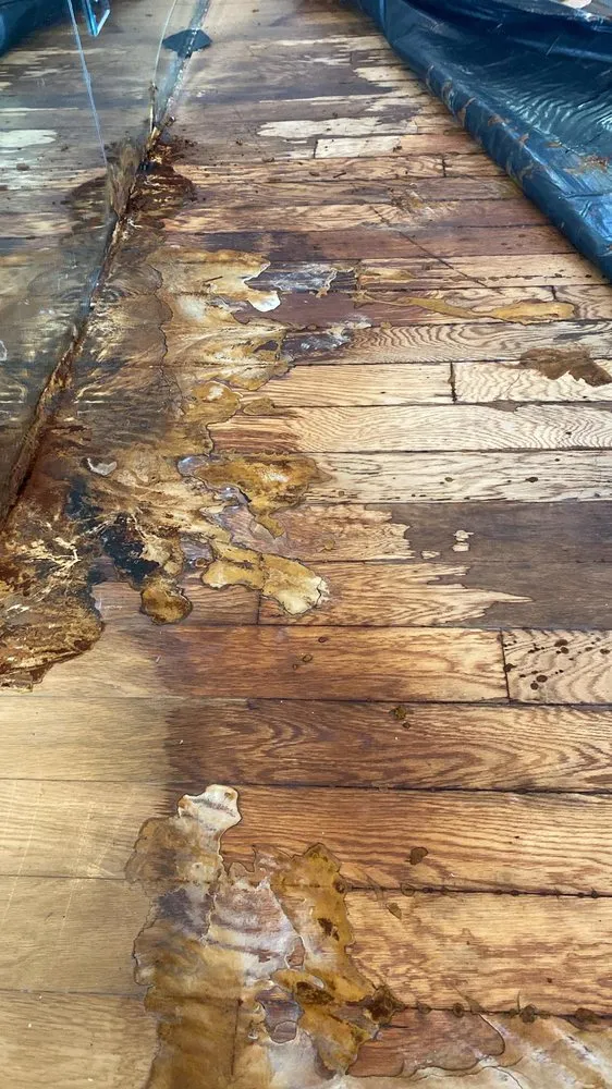Affordable emergency plumbing in Boca Raton, FL by OC Leak Detection & Water Damage Remediation