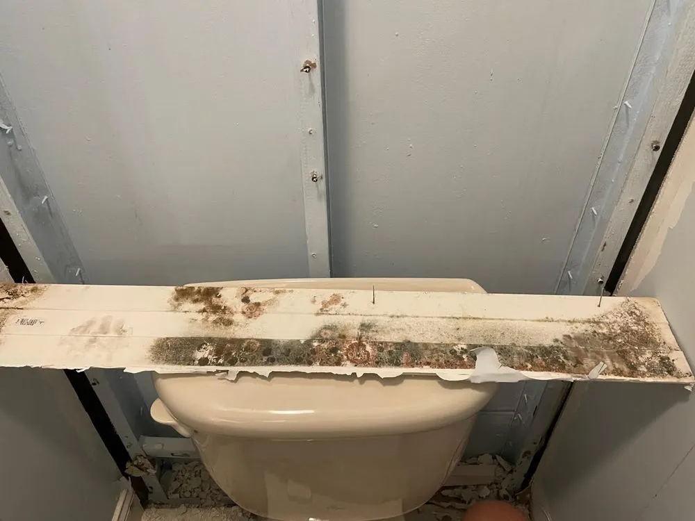 Slide of OC Leak Detection & Water Damage Remediation