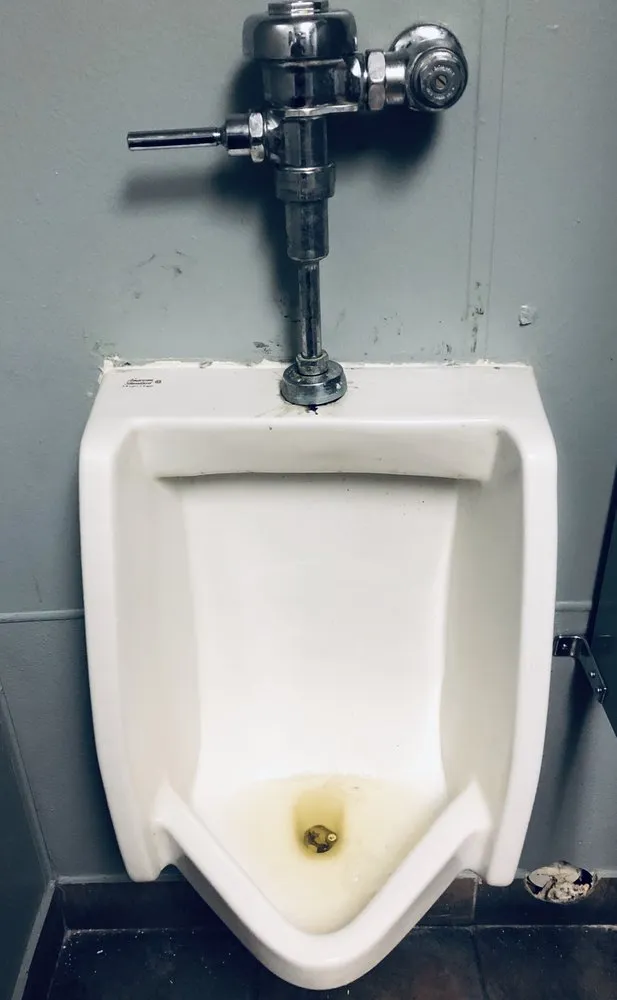 Slide of Ocean Blue Rooter