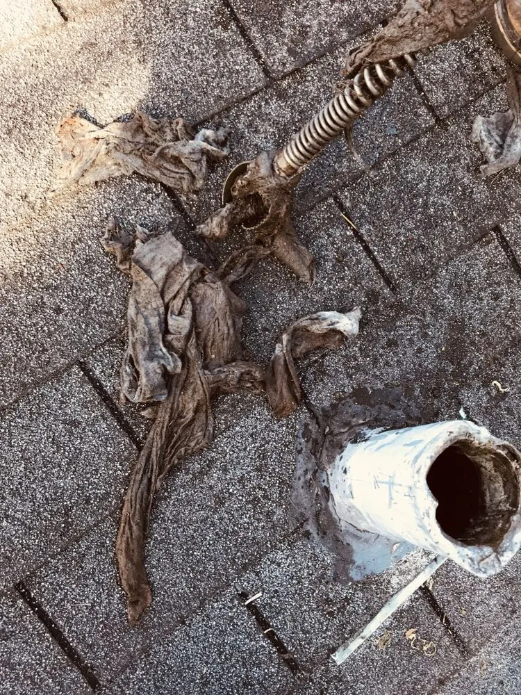 Slide of Ocean Blue Rooter