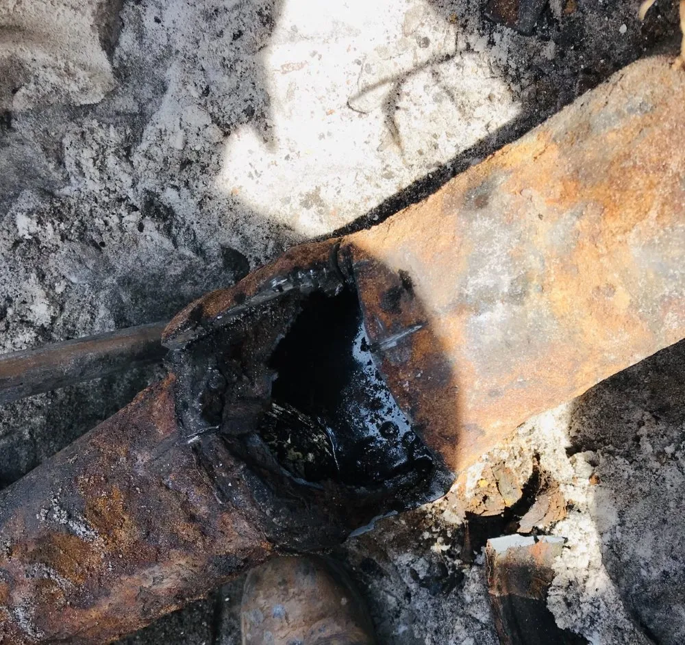 Slide of Ocean Blue Rooter