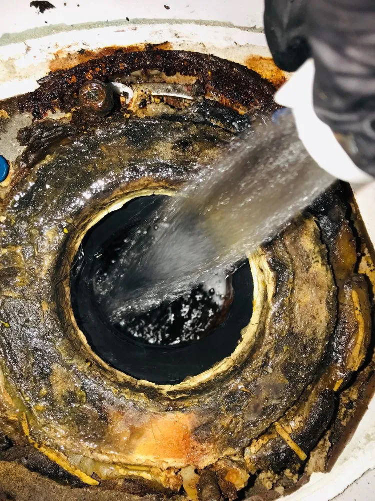 Slide of Ocean Blue Rooter