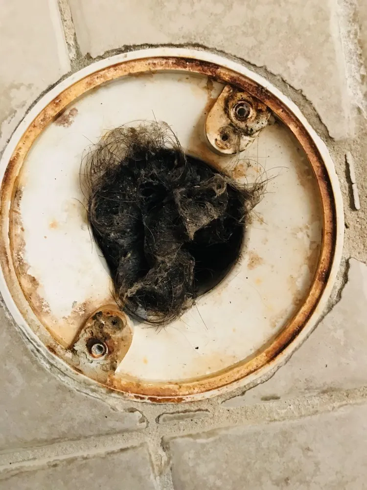 Slide of Ocean Blue Rooter