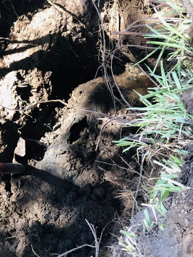 Slide of Ocean Blue Rooter