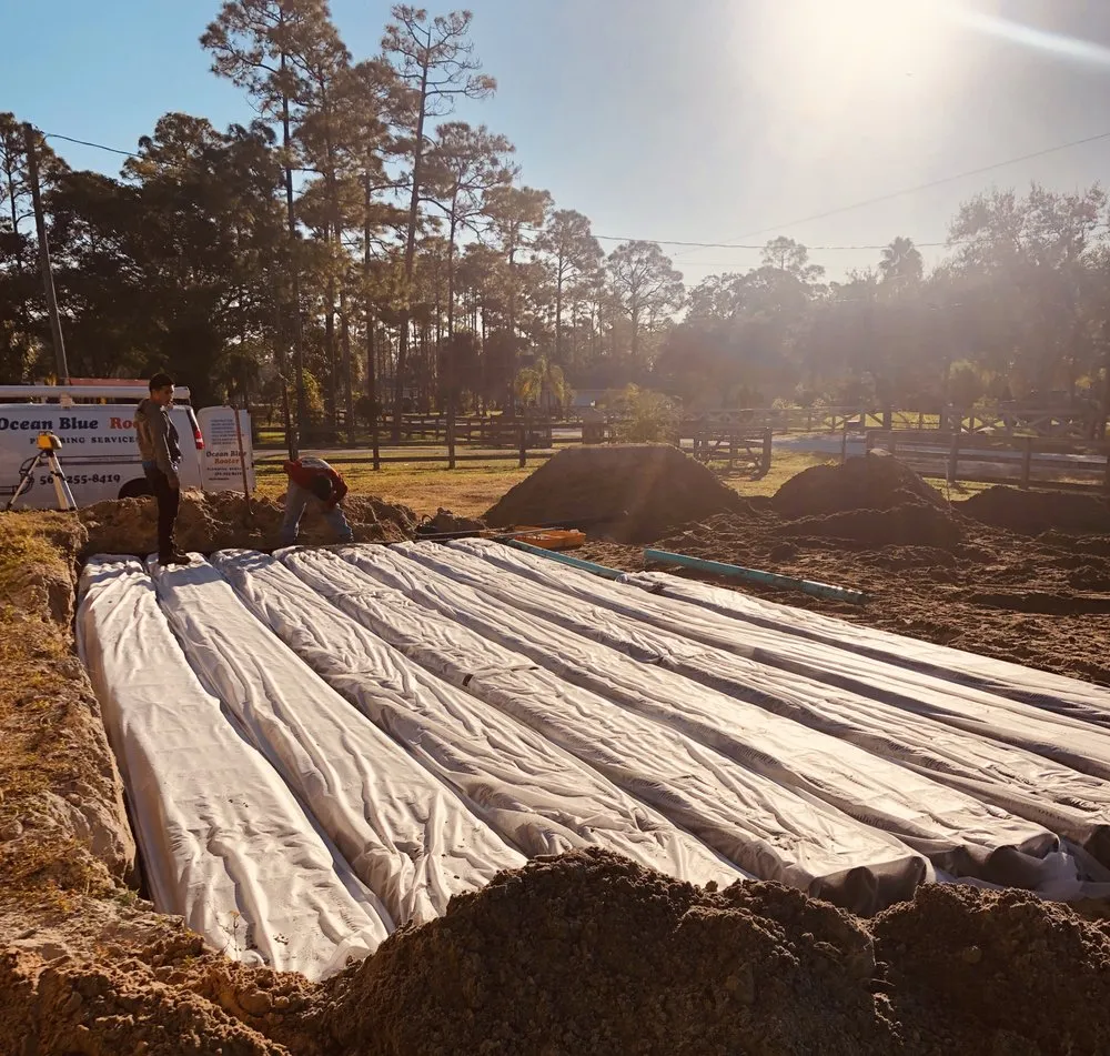 Slide of Ocean Blue Rooter