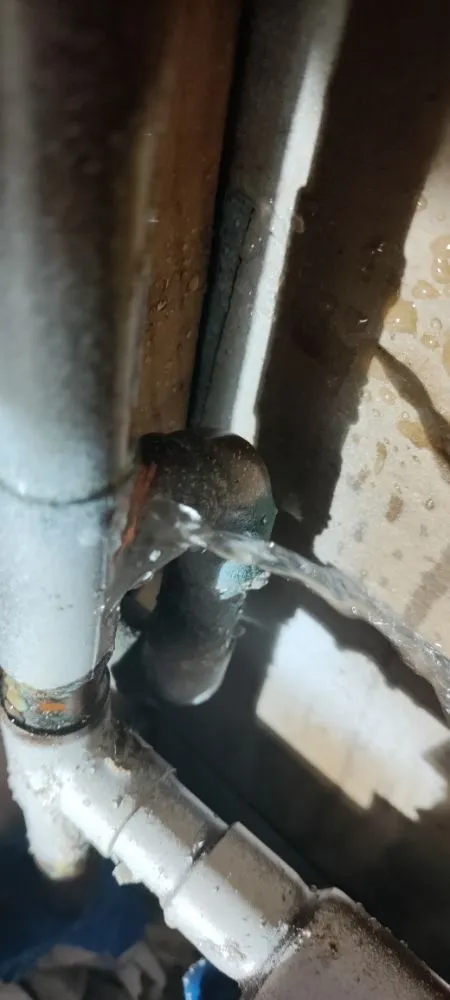 Quality plumbing repair for homes in Holiday, FL by ocean plumbing services