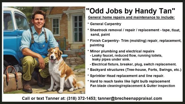 Odd Jobs by Handy Tan Logo