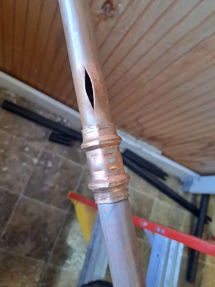 Slide of O’Donnell and Son