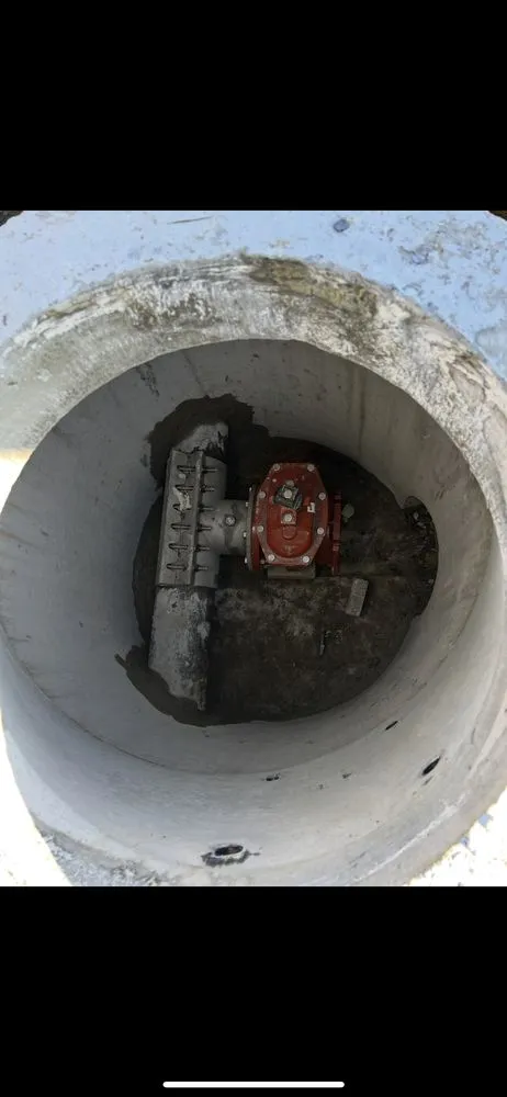 Slide of O’Donnell and Son