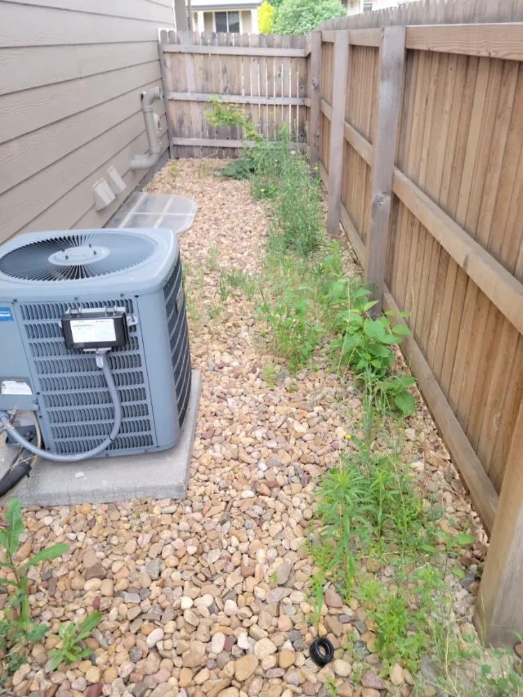 Slide of Of The KING Services