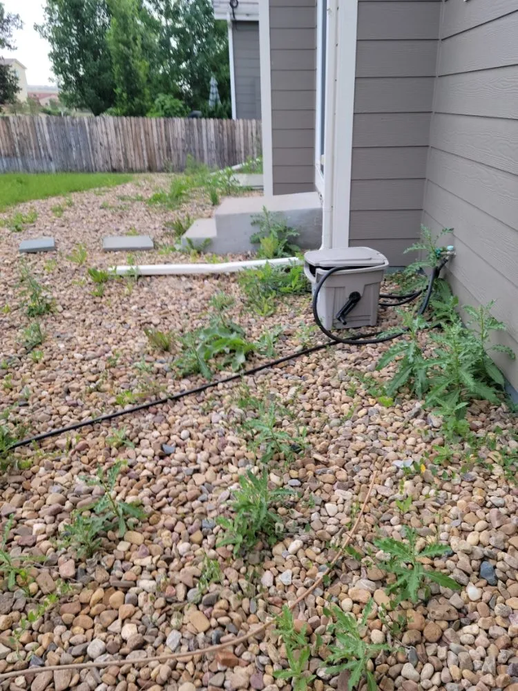 Slide of Of The KING Services