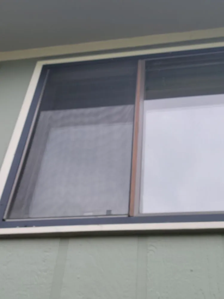 Expert drain cleaning experts serving Evans, CO - Of The KING Services