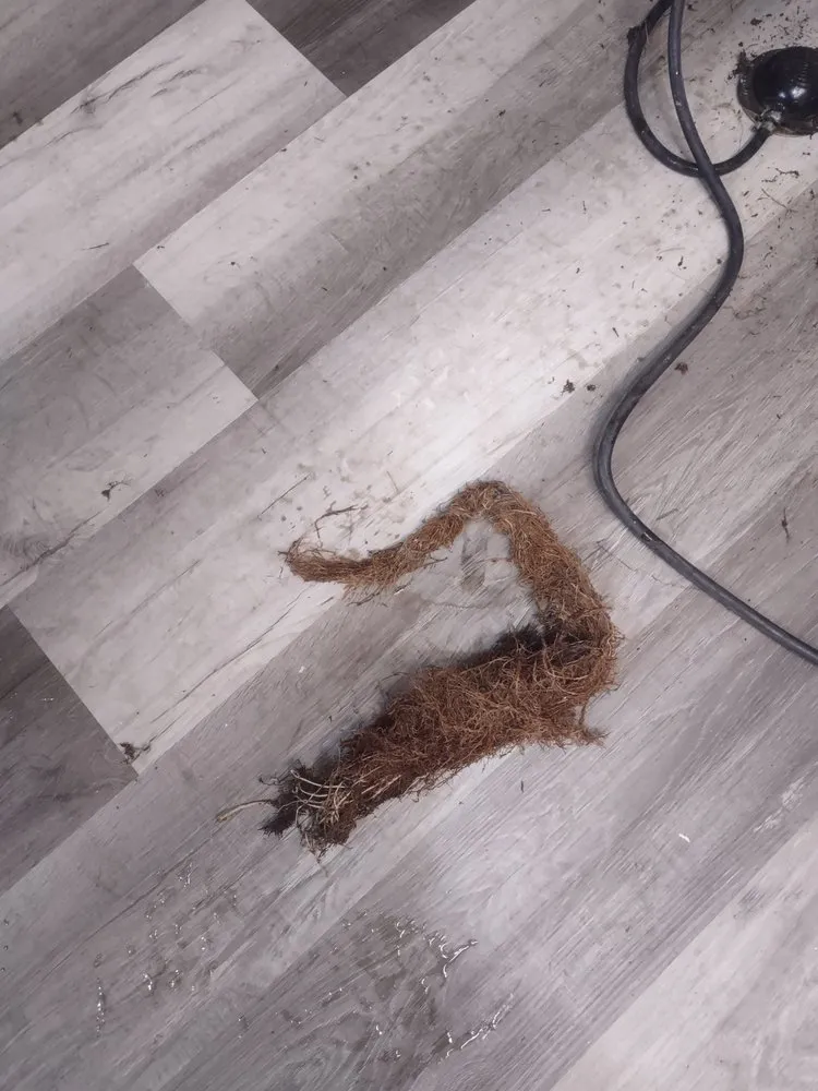 Top-rated leak detection for homes in Dardenne Prairie, MO by O'Fallon Sewer & Plumbing Repair Service