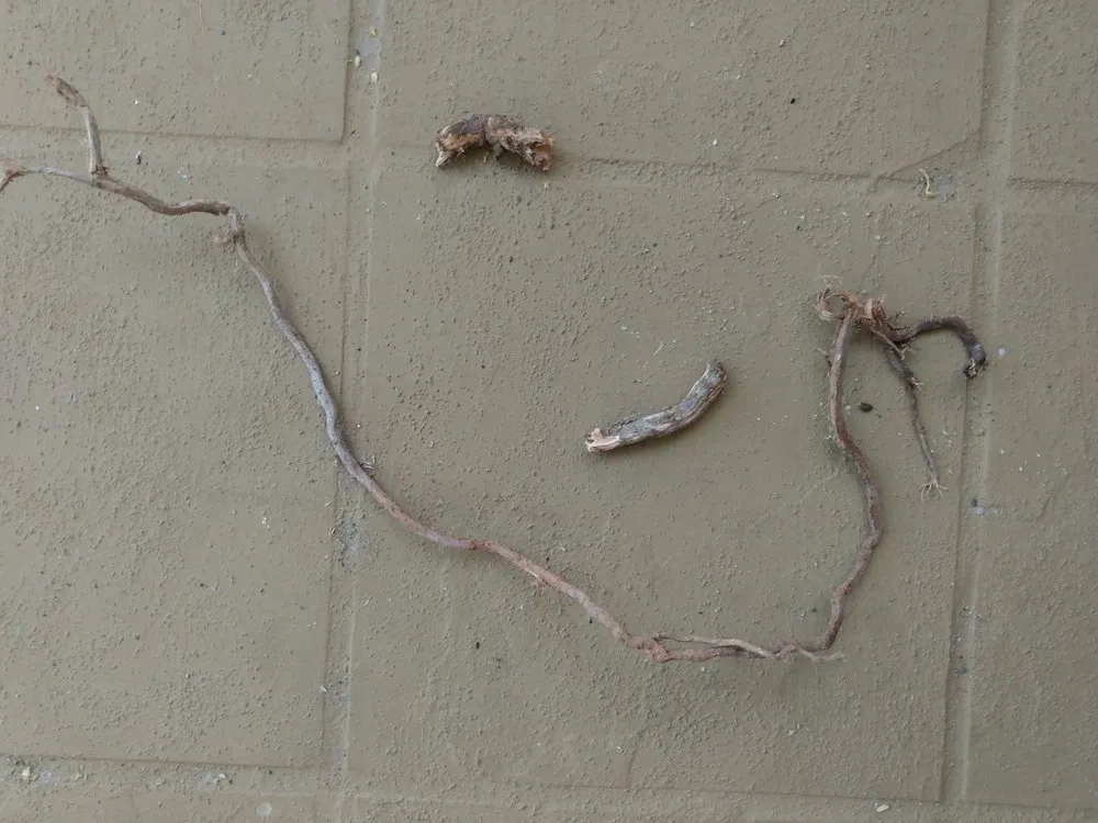 Slide of Ogami Plumbing