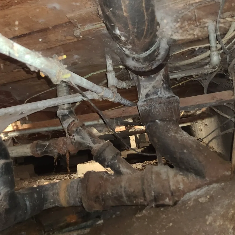 Slide of Ol Skool Plumbing