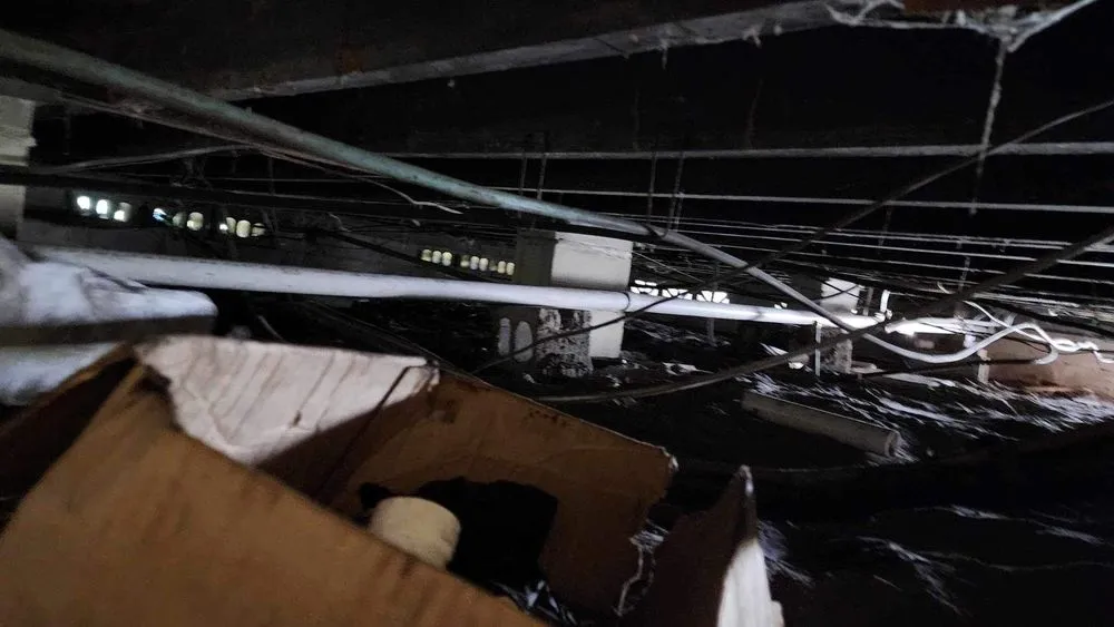 Reliable emergency plumbing for homes in St. Petersburg, FL by Old Southeast Plumbing