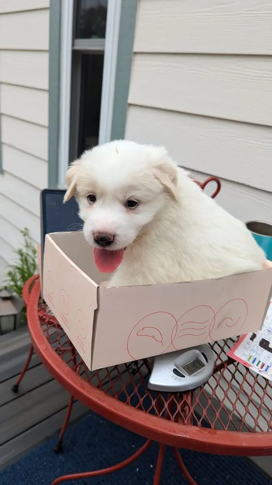 Slide of Olde Tyme Gardens