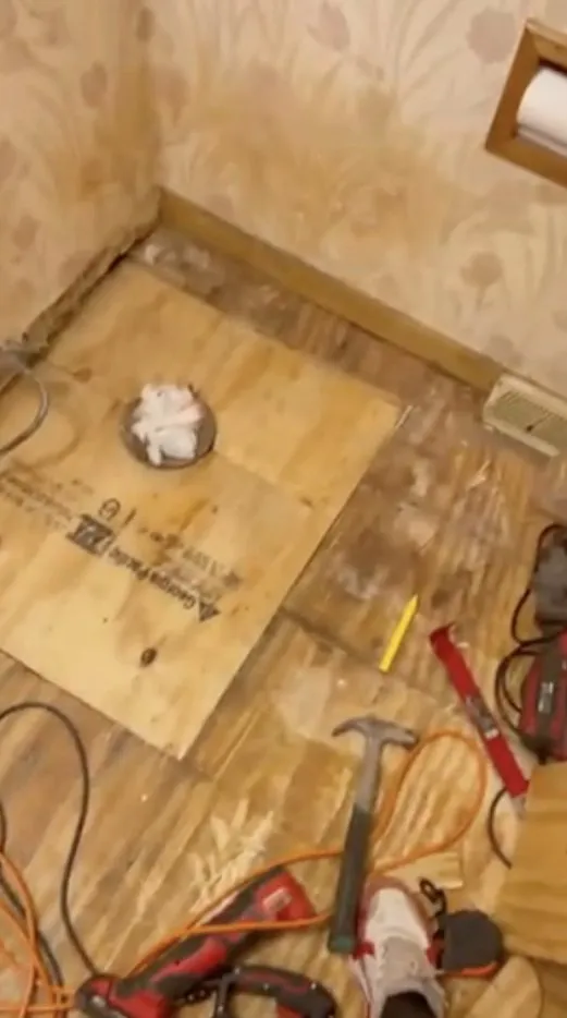 Slide of Ollie's Odd Jobs