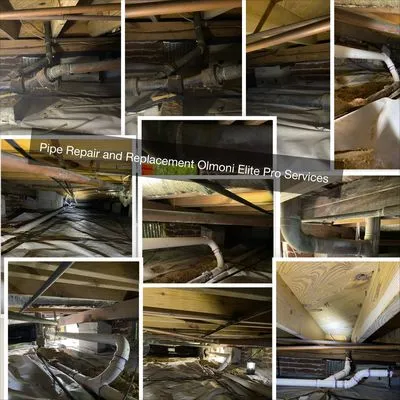 Olmoni Elite Pro Services Logo