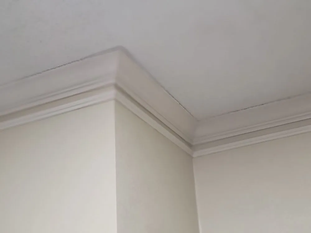 Top-rated emergency plumbing experts serving Dallas, TX - Olshan Foundation Repair