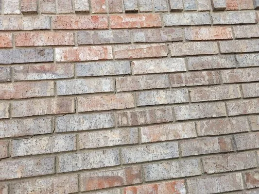 Olshan Foundation Repair Logo