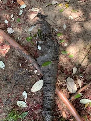 Slide of Olson's Rooter Service