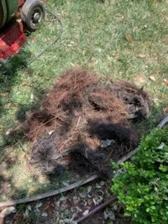 Slide of Olson's Rooter Service