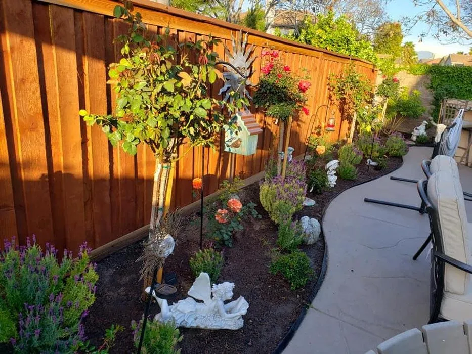 Slide of Olympia Services