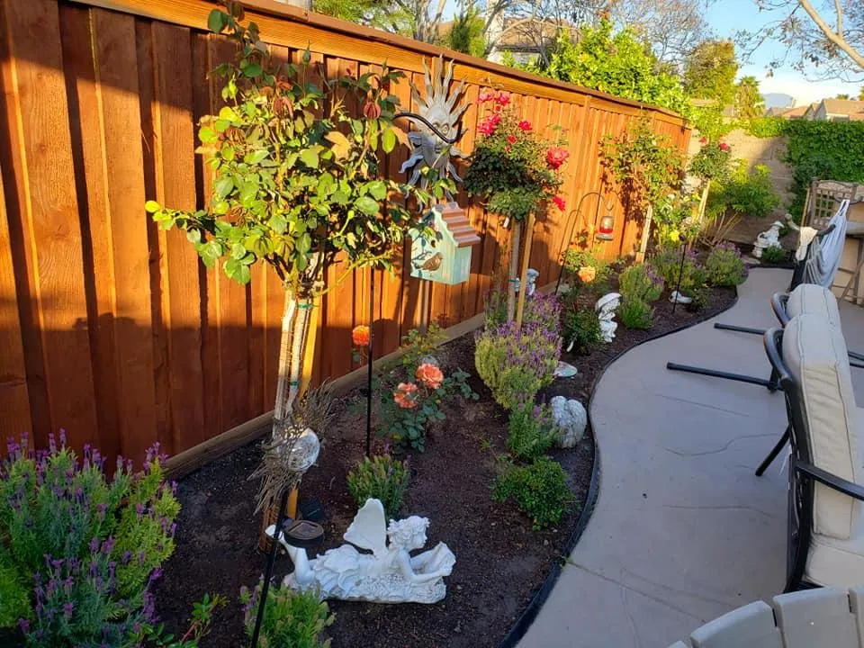 Slide of Olympia Services