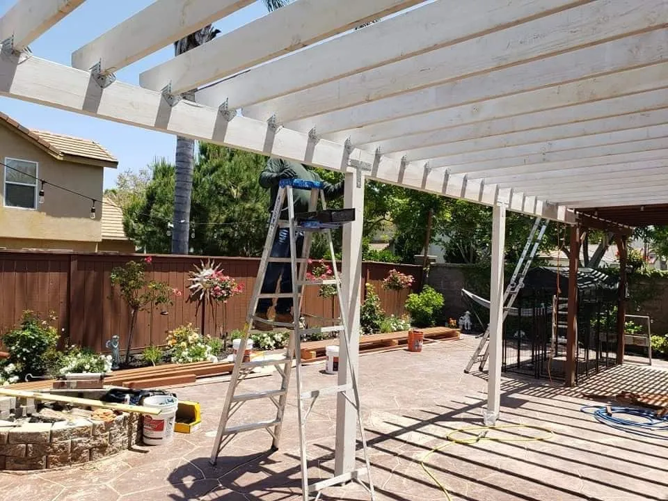 Slide of Olympia Services