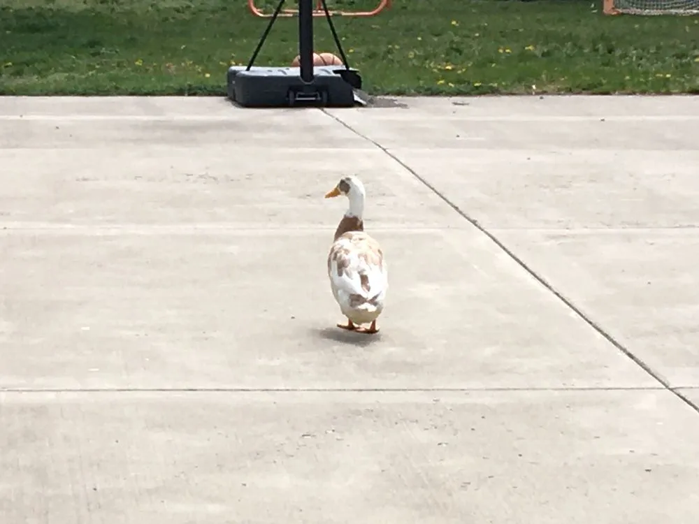 Slide of O&M Water Solutions