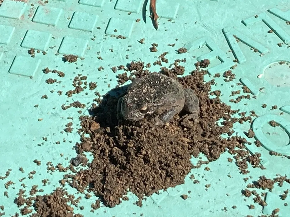 Slide of O&M Water Solutions