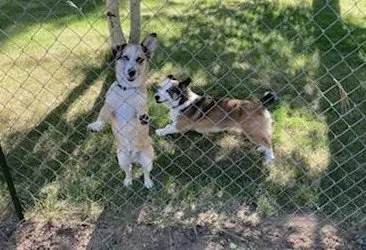 Slide of O&M Water Solutions