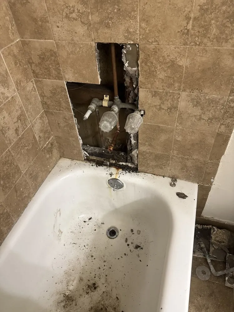 Slide of Omega Plumbing