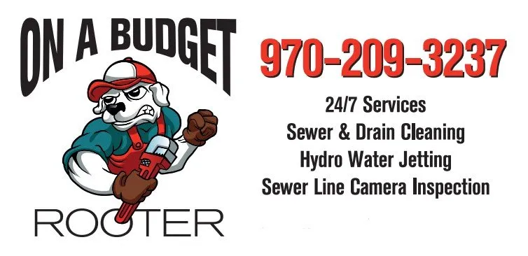 Slide of On A Budget Rooter