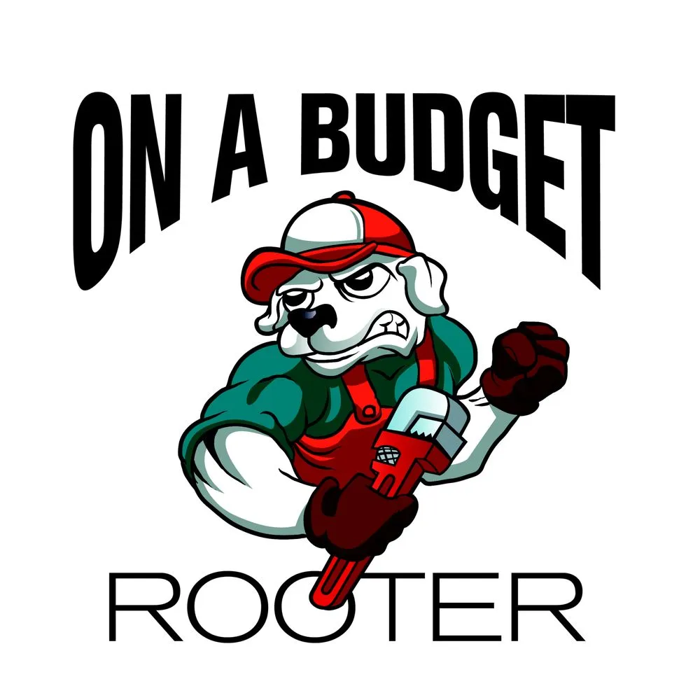 Slide of On A Budget Rooter